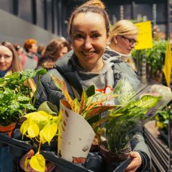 O víkendu proběhl Festival rostlin - ráj pro milovníky zeleně i sběratelské raritky