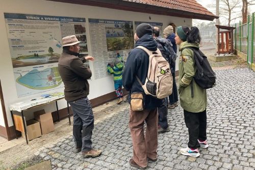 obrázek:Kolem Boleveckých rybníků se chystá jarní pochod s programem pro děti