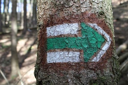 obrázek:Nové turistické trasy v západních Čechách díky Nadaci ČEZ