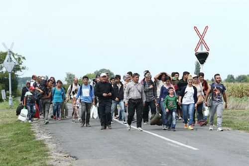 obrázek:Plzeňský kraj ztrácí obyvatele i přes migraci