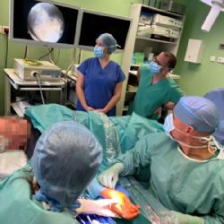 Revoluční operace karpálního tunelu ve Stodě - rychle, šetrně a bez čekání