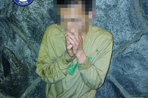 obrázek:Skočil do řeky, aby utekl strážníkům. V Plzni dopadli hledaného cizince