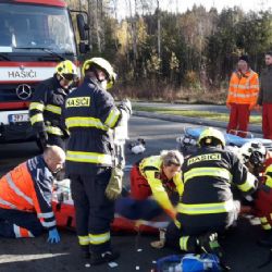Smrtelná nehoda u Plzně, po nárazu do stromu zemřela řidička Škody Fabia