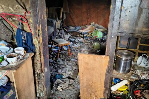 obrázek:Štěňata z hororu ve Starém Sedlišti hledají nový domov