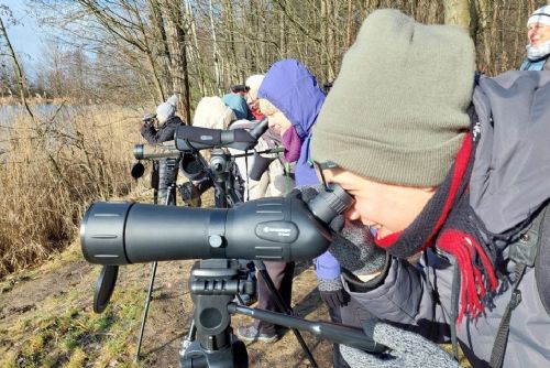obrázek:Světový den mokřadů, soutok Mže a Úhlavky přitáhl ornitology