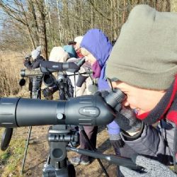 Světový den mokřadů, soutok Mže a Úhlavky přitáhl ornitology