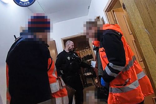 obrázek:Tísňové tlačítko na mobilu zachránilo seniorku na Lochotíně