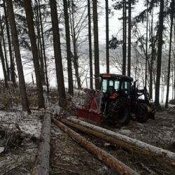 Tragédie u Horažďovic, muž zemřel při kácení stromu
