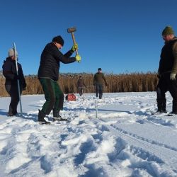 U Líní vznikl díky zamrzlému rybníku ostrůvek pro racky