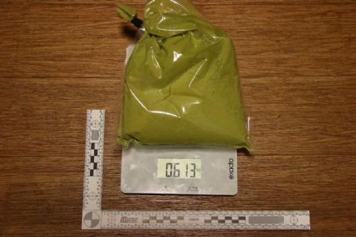 obrázek:V Plzni v Křimické ulici zasahovala protidrogová centrála. Kontrolovala kratom i syntetické kanabinoidy