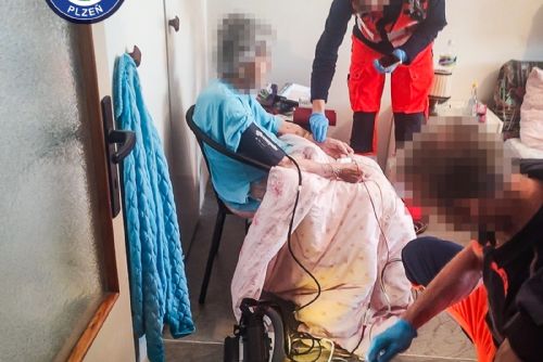 obrázek:Volání o pomoc z bytu na Doubravce nepřeslechl soused. Strážníci našli zmatenou seniorku