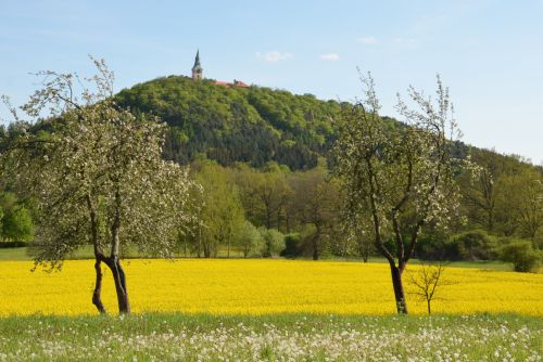 Obrázek - 