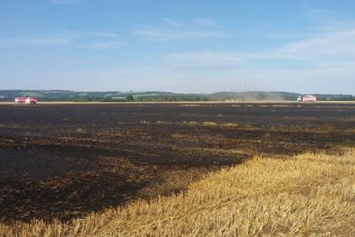 Foto: Zemědělci na Plzeňsku bojují se suchem