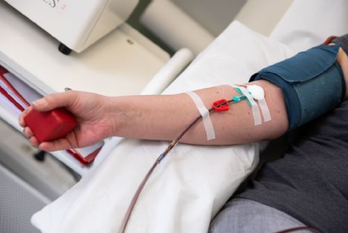 Foto: Na dárce krevní plazmy v Plzni čeká valentýnské překvapení