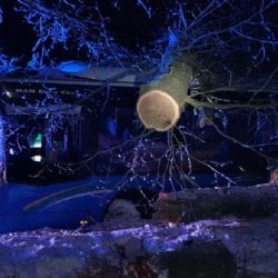 Autobus na severním Plzeňsku sjel do příkopu, strom prorazil střechu