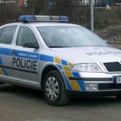 Celostátně hledaný recidivista zranil policistu v Holýšově