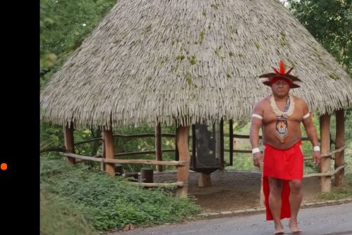 obrázek:Indiánský náčelník tesá v plzeňské zoo obří kánoe. Návštěvníci sledují jejich vznik naživo