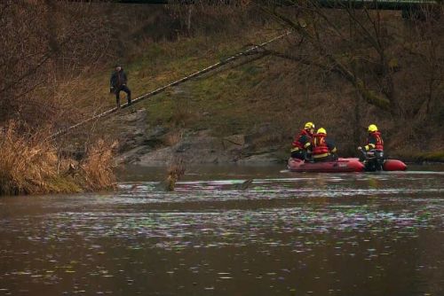 obrázek:Kauza rozřezaného bezdomovce v Plzni pokračuje: vrchní soud nařídil hlavní líčení