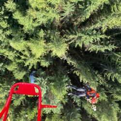 Paraglidista zachráněn ze stromu u Sušice