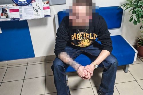 obrázek:Pět hledaných během pár dnů. Strážníci v Plzni opět využili místní znalost