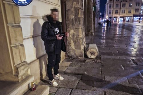 obrázek:Rozkopl koš a rozbil vitrínu v centru Plzně, podcenil kamerový systém