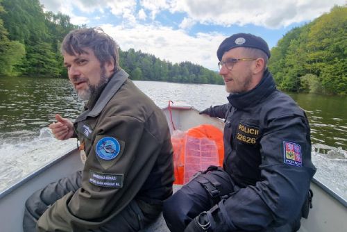 obrázek:Rybáři na Plzeňsku porušují pravidla. Porybní vyrážejí na kontroly z lodí