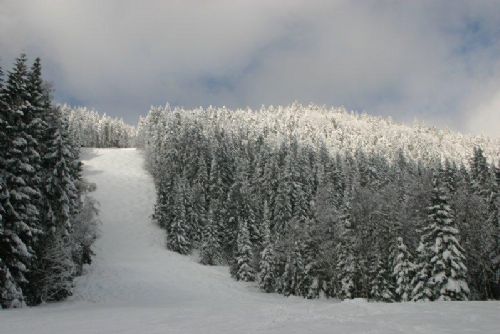 obrázek:Špičák i přes oblevu drží 50 cm sněhu a večerní lyžování