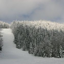 Špičák i přes oblevu drží 50 cm sněhu a večerní lyžování