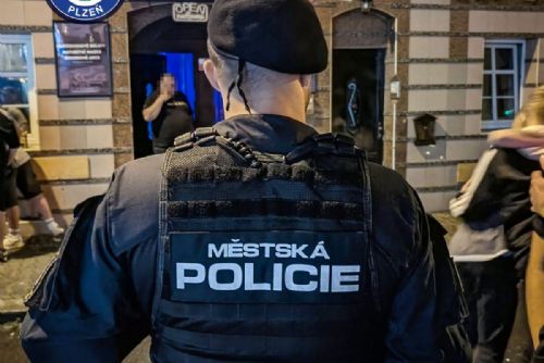 obrázek:Stovky kontrol během jediné noci. Centrum Plzně zaplnily desítky policejních hlídek