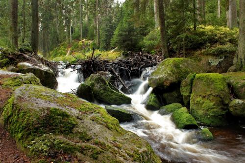 obrázek:Šumava láká na nové tratě