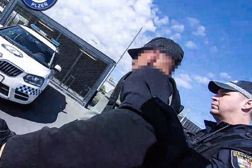 obrázek:U Hamburku v Plzni vyhrožoval lidem opilý muž. Strážníci mu naměřili přes tři promile