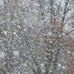 Vichr a sněhové přeháňky udeří na západě Čech