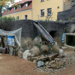 ZOO má nové otevírací hodiny, Dinopark končí