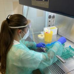 Mikrobiologické laboratoře FN Brno dokážou odhalit jihoafrickou mutaci