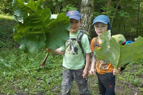 Foto: Začíná celostátní závod mladších skautů. V Plzni bude soutěžit skoro 300 dětí