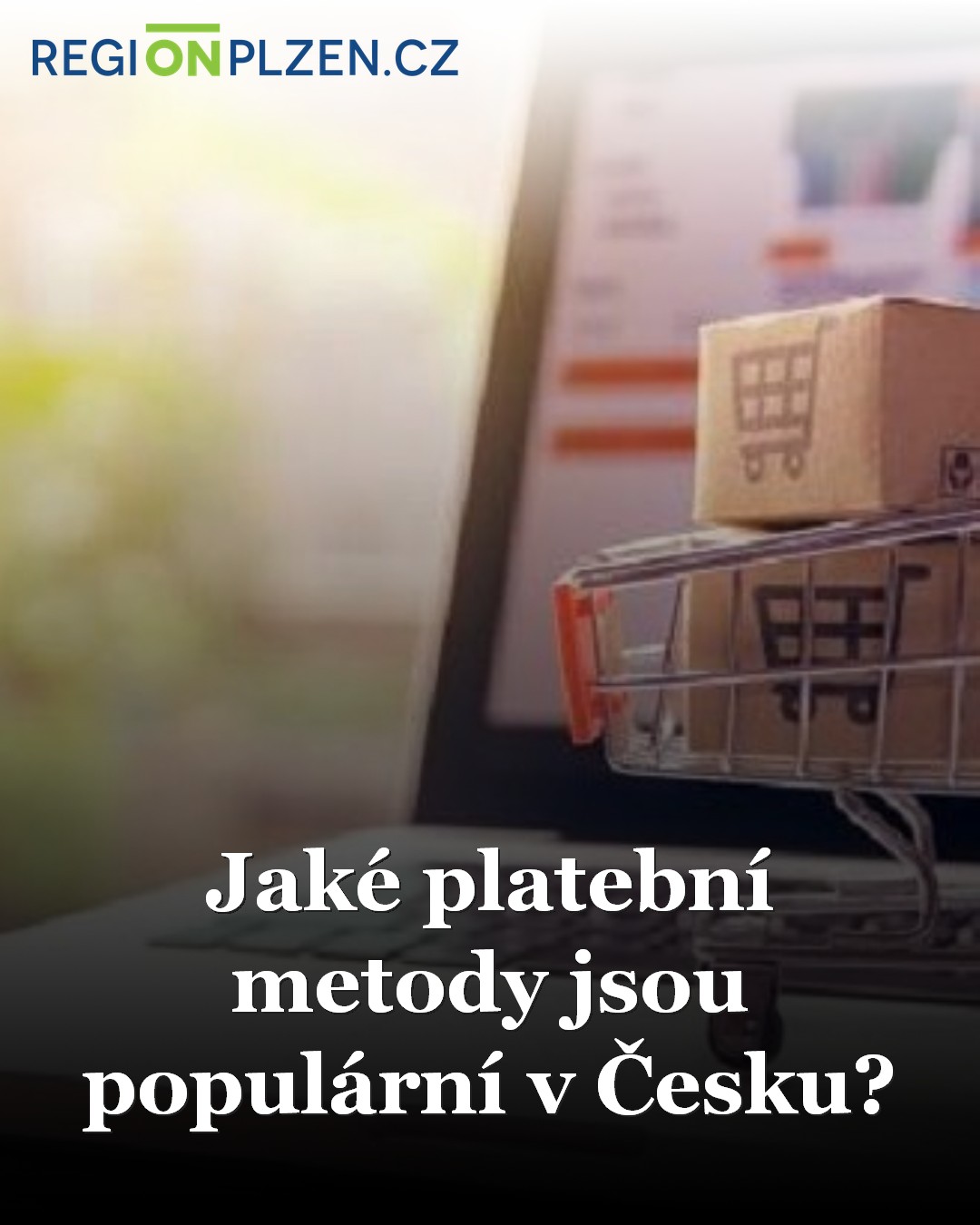 Jaké platební metody jsou populární v Česku? / Zprávy - Plzeňský kraj ...